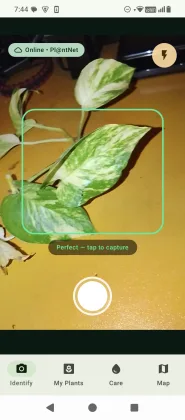 FloraLens Identify — coaching viewfinder, tap to capture