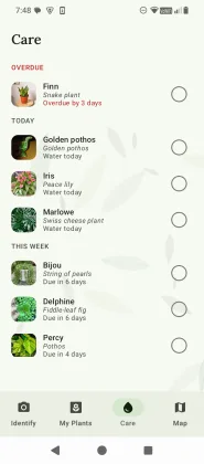 FloraLens Care — Overdue / Today / This week watering dashboard