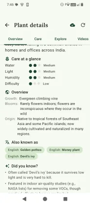 FloraLens species deep-dive — care at a glance, offline copy